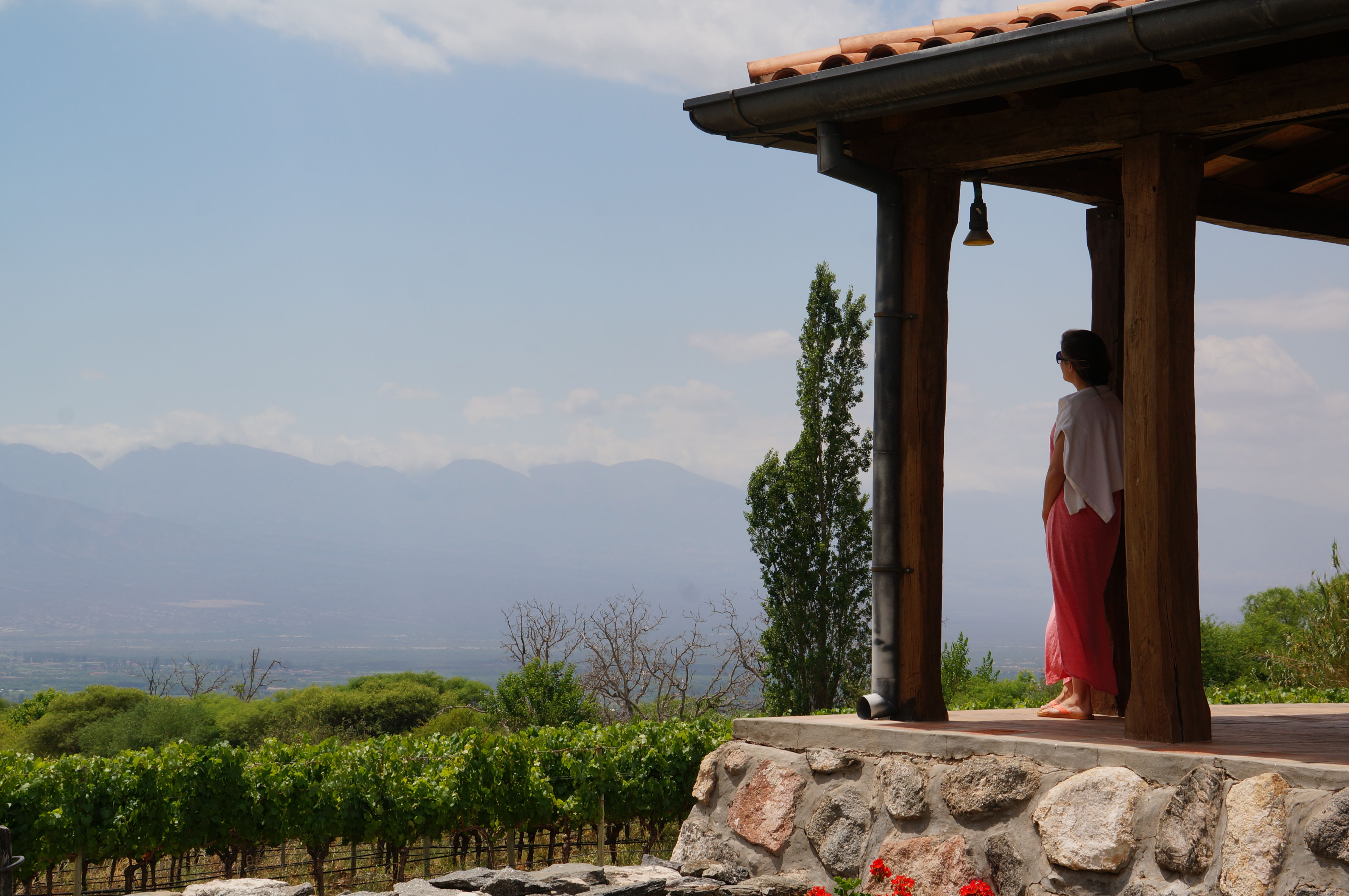 Wijnboerderij in Cafayate