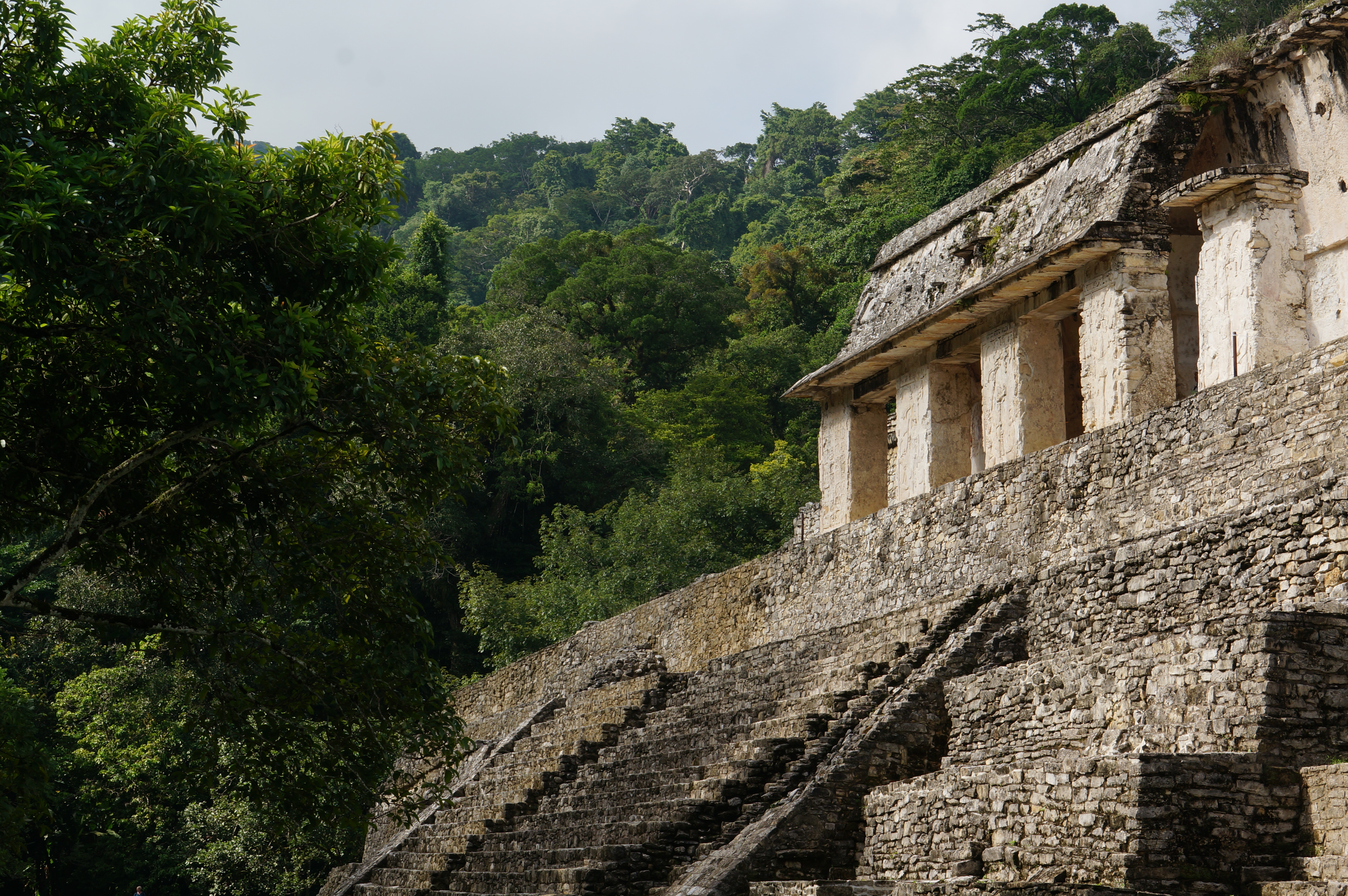 Tempels van Palenque