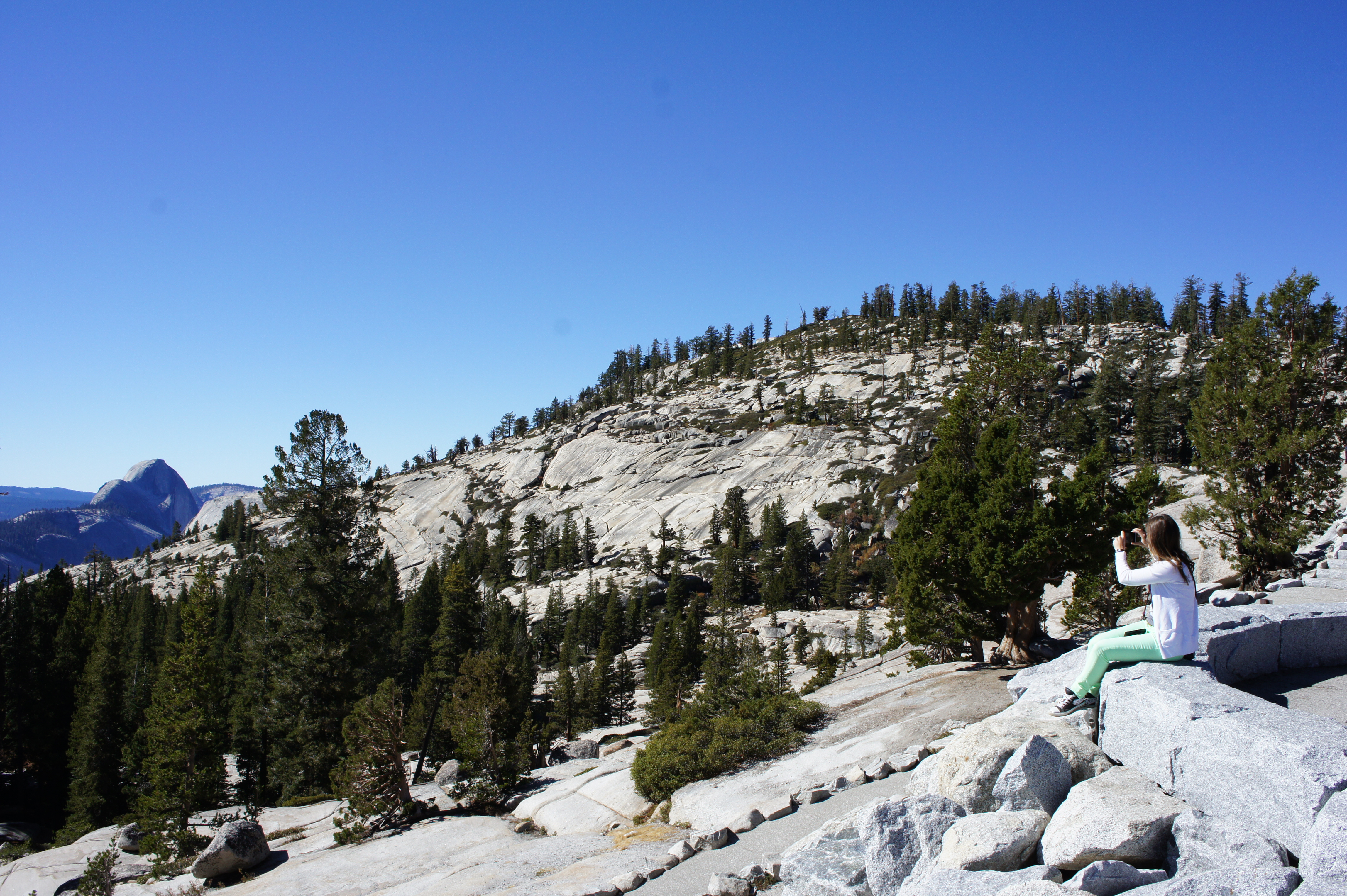 Yosemite National Park