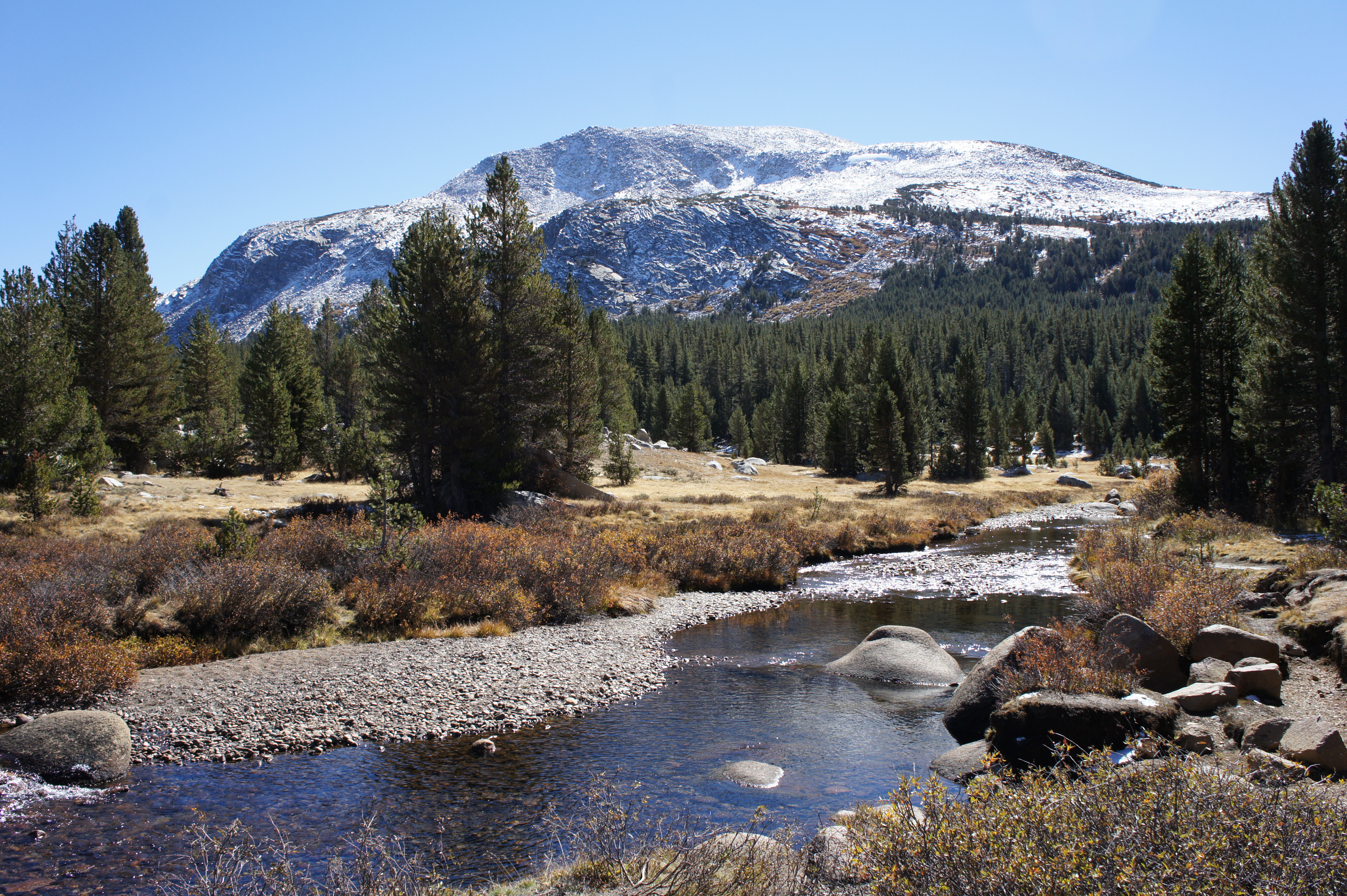 Yosemite National Park