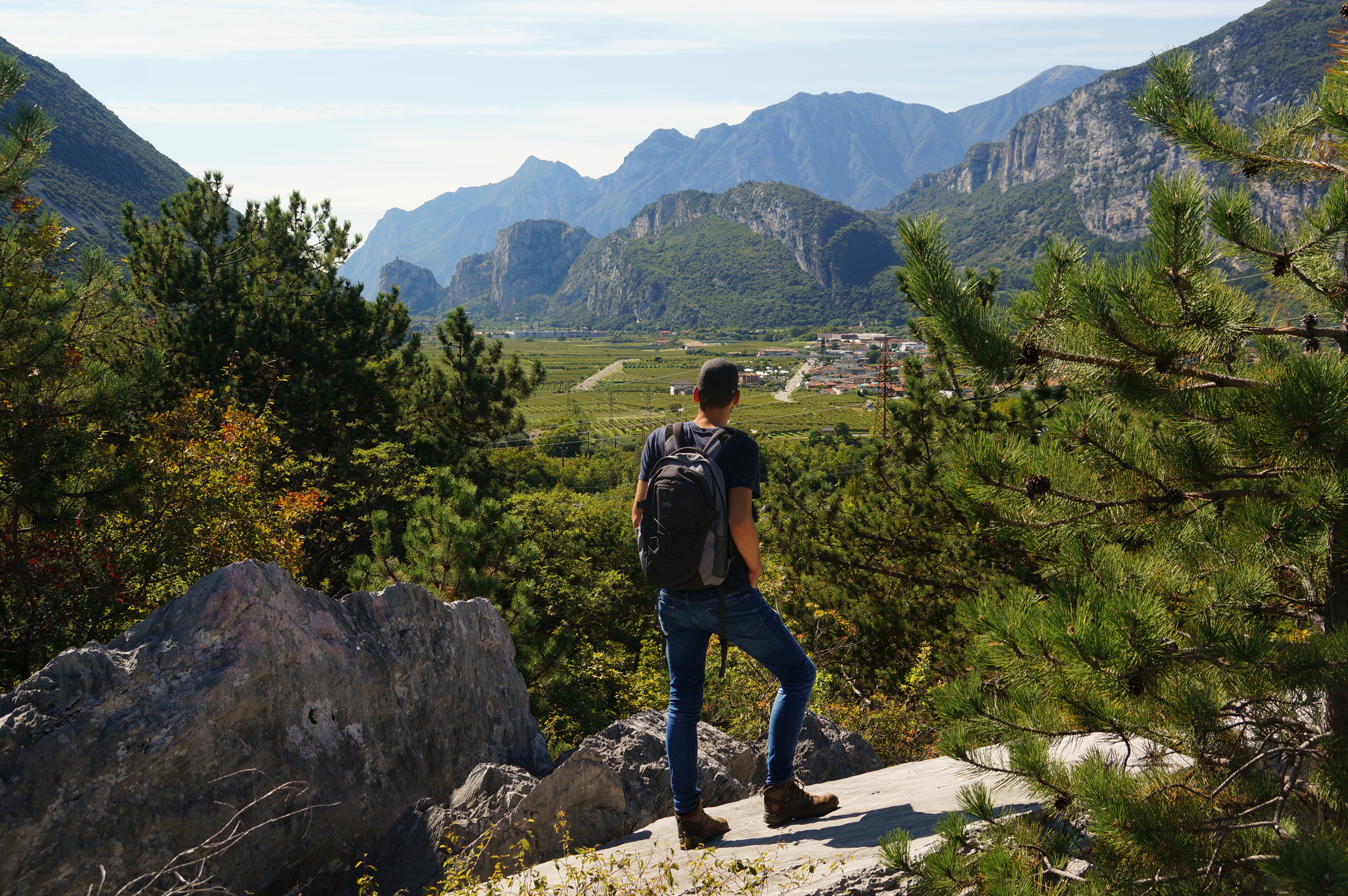 Uitzicht op de wijnvelden bij het Gardameer.
