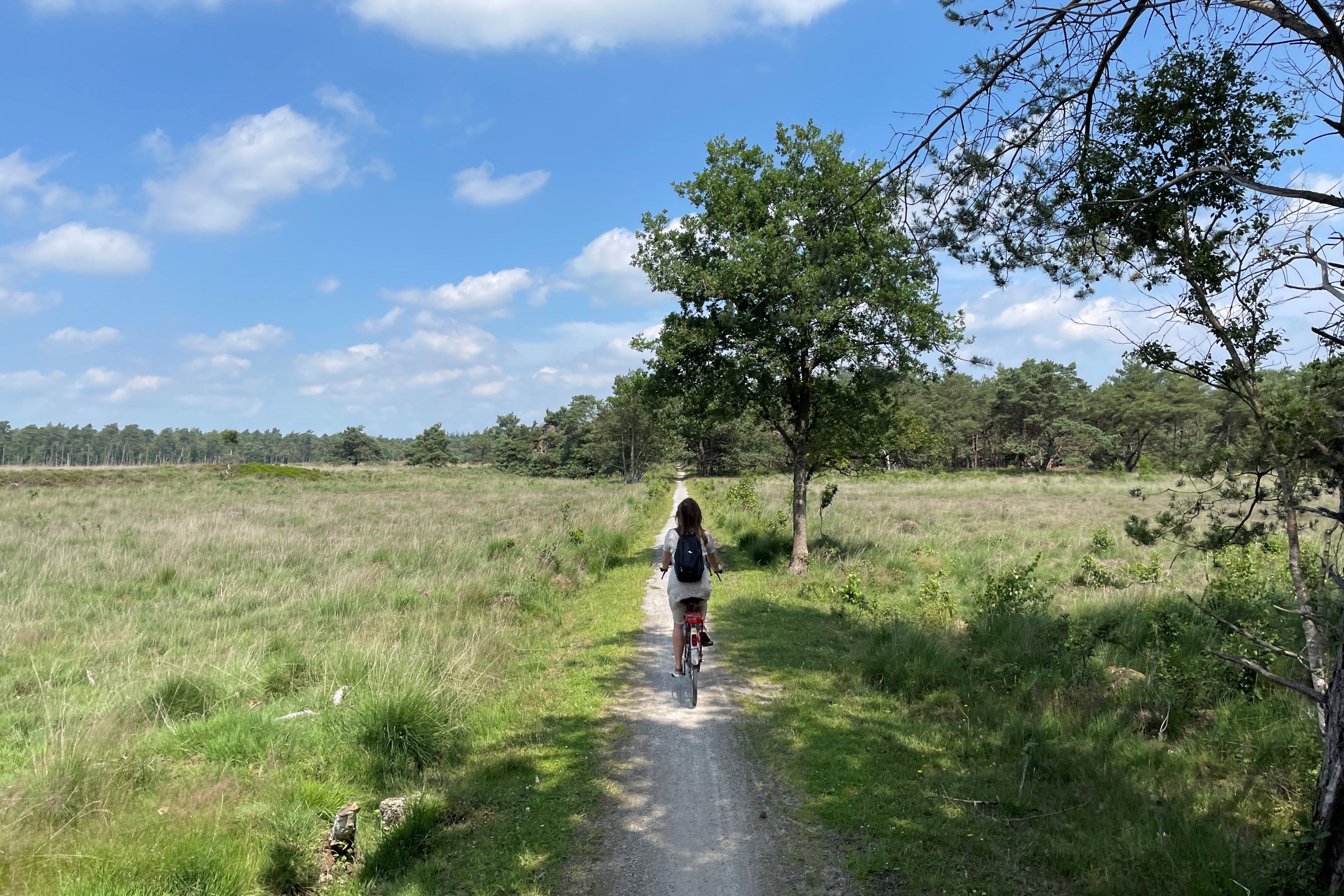 Fietsen over de Drentse hei