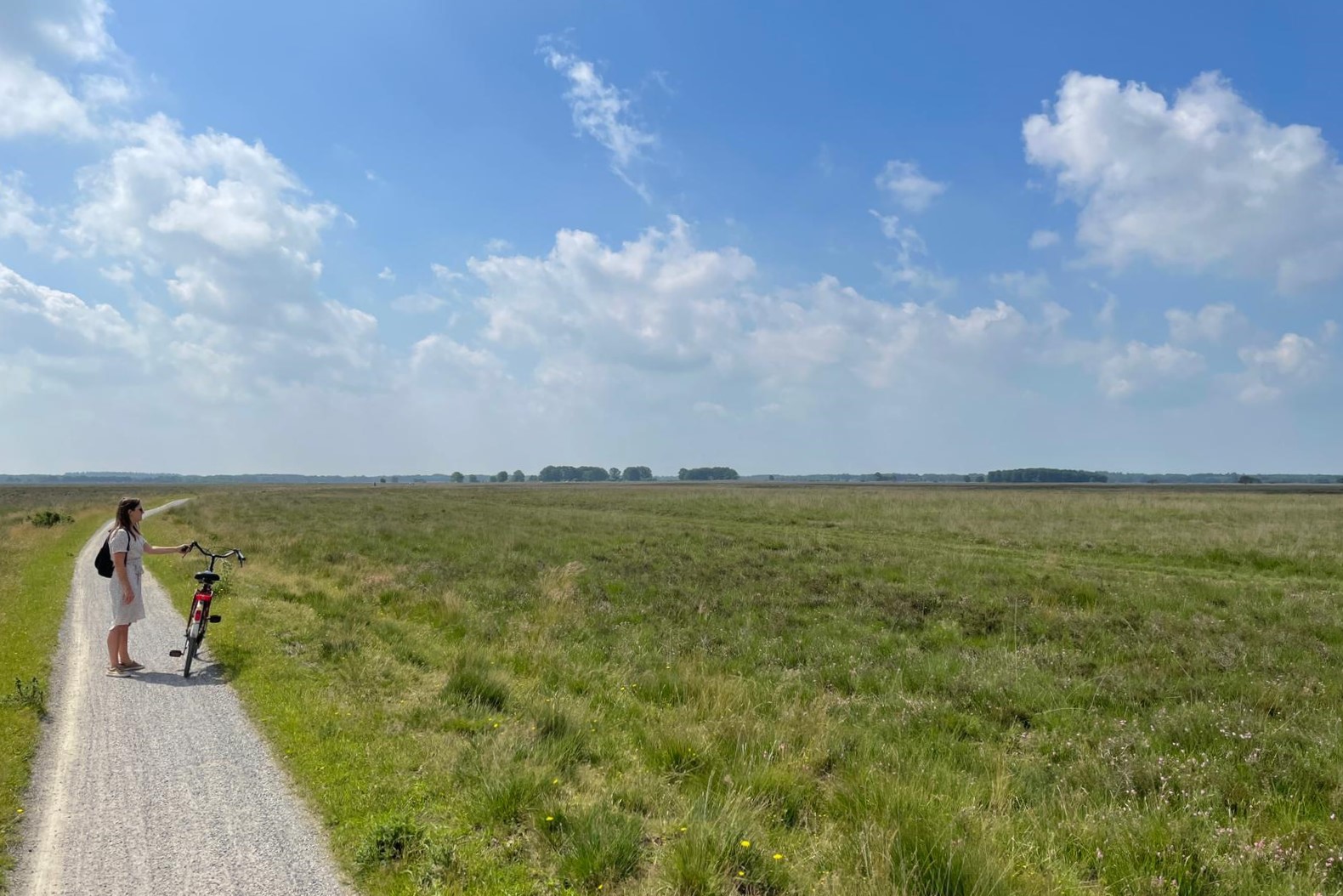 Best leeg, daar in Drenthe